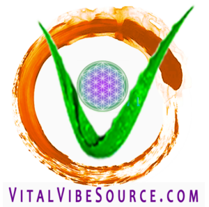 vitalvibesource.com